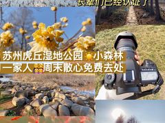 -虎丘湿地公园