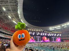 -山西体育中心红灯笼体育场