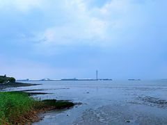 -上海吴淞炮台湾国家湿地公园