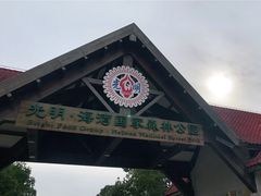 -上海海湾国家森林公园