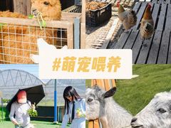 -栖露营camping·天幕烧烤·团建拓展·采摘营地