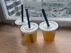 -喵小馆·猫咖狗咖猪咖·饮品店