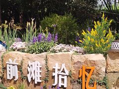 -东方体育中心(地铁站)