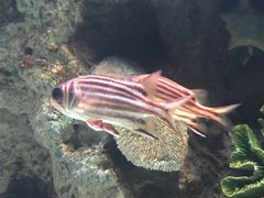 -苏州海洋馆