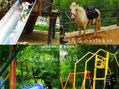 -幽岚山·童话森林
