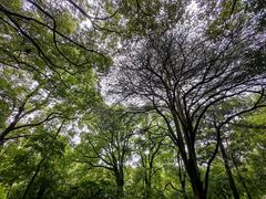 -西郊宾馆·1921餐厅