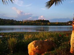 -七彩云南茶(七彩云南第壹城店)