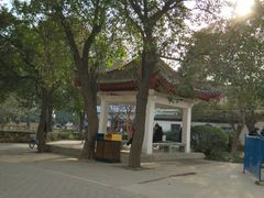 景点-西苑公园