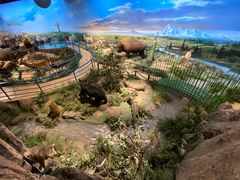 -陕西自然博物馆