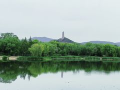 -北坞公园