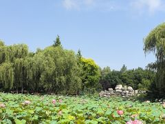 -东升八家郊野公园
