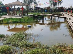 -同銮特种养殖场·龙虾垂钓