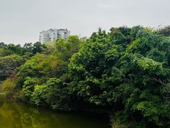 -深圳国际园林花卉博览园