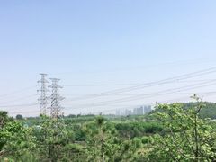 -马家湾湿地公园