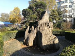 -洛阳市牡丹公园