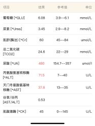 -苗塑堂减肥·艾灸