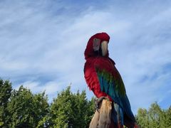 -北京野生动物园