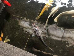 -天津海河悦榕庄·Lobby Lounge大堂吧