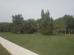 -北京国家会计学院