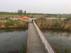 -春花秋色城市公园