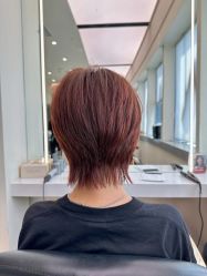 -GANO HAIR 