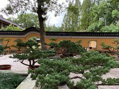 -宝岩生态观光园