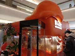 -野人先生现做冰淇淋(北京王府井东方新天地店)