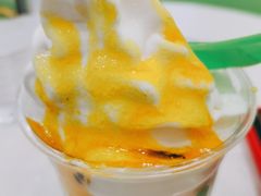 -Salud撒露欧洲冻酸奶(五道口购物中心店)