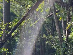 -火炉山森林公园