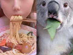 -天天初二·天津传统捞面·天津特色菜(凌奥总店)