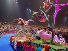 -广州长隆国际大马戏