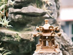 -海韵人家.海景花园经典云南菜(双廊店)