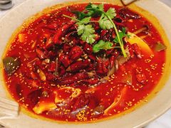 金牌毛血旺-辛香汇·现炒川菜(淮海路百盛店)