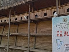 -栾川竹海野生动物园