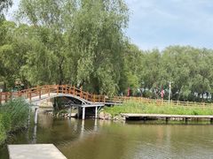 -白渔泡湿地公园