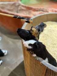 -Zoolung Zoolung动物主题公园(海信广场店)