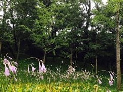 -北京宽沟会议中心