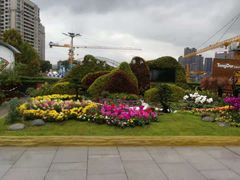 -重庆市江北嘴中央商务区中央公园