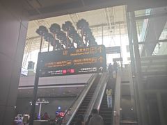 -广州白云国际机场-T1航站楼