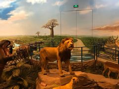 -陕西自然博物馆