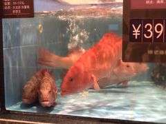 -徐记海鲜(开福寺|伍家岭店)