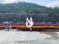 -神光山国家森林公园