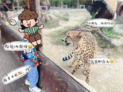 -上海野生动物园