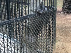 -广东茂名森林公园