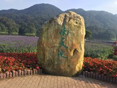 -广州市石门国家森林公园