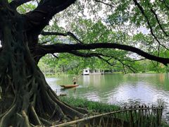 -晓港公园