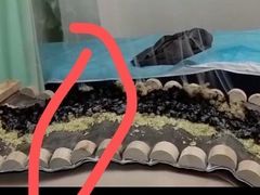 -李时珍中医馆·艾灸·推拿·针灸(佰港城馆)