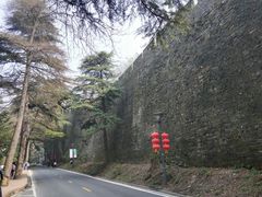 -紫金山山顶公园