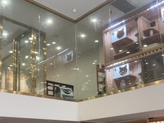 -钦宠·猫咪售卖·洗护·寄养(东圃旗舰店)