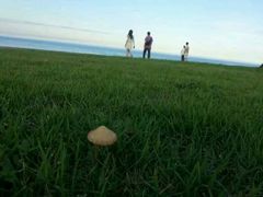 android_upload_pic-七星潭蓝天广场